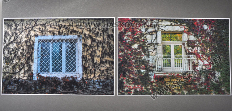 Стела Танева представя геометрия на сетивата в галерия „Форум“