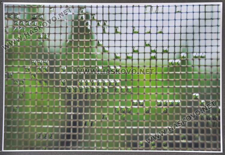 Стела Танева представя геометрия на сетивата в галерия „Форум“