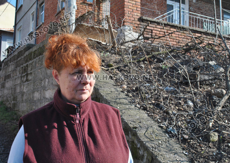 Мария Вълкова