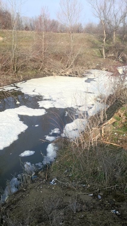 Мечка отново тече покрита с пяна