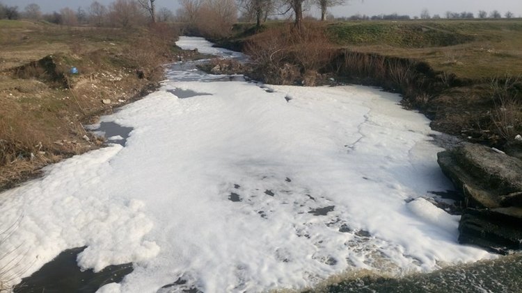 Мечка отново тече покрита с пяна
