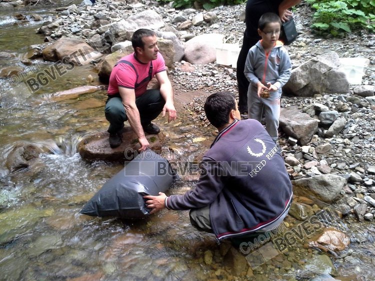 Рибари от Смолян с доброволна акция по зарибяване с пъстърва, призовават колеги за помощ