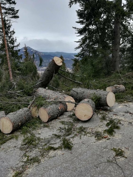 Тежък януари за пожарната служба в Смолян: 130 произшествия и 59 пожара