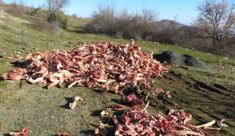 Кланици зариват с кокали туристически маршрути в Кърджалийско