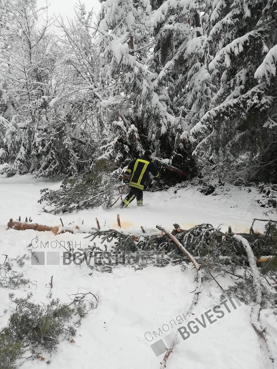 Няколко села в общините Баните и Смолян все още са без ток, проблеми ще създават поразени от урагана дървета