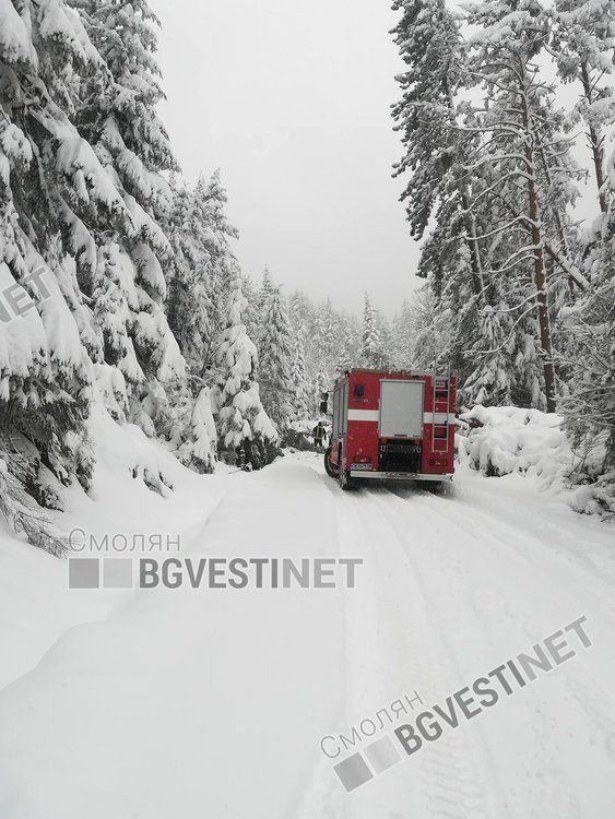 Паднали дървета вчера блокираха пътя за Турян