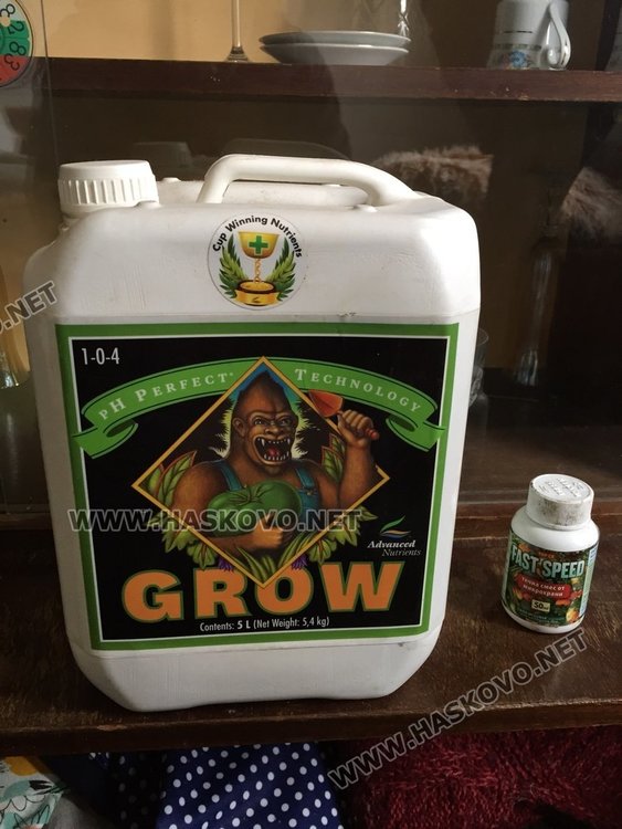 Разбиха българска  банда, пренасяла дрога в буркани за Австрия