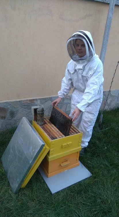 Пчелари спечелиха фотоконкурс