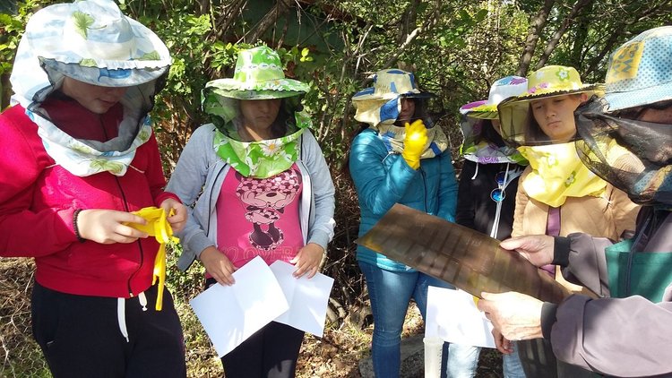 Пчелари спечелиха фотоконкурс