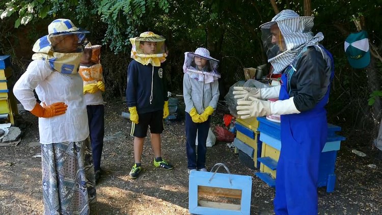Пчелари спечелиха фотоконкурс