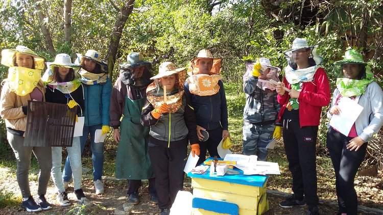 Пчелари спечелиха фотоконкурс