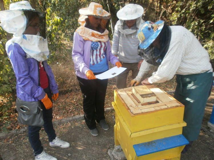 Пчелари спечелиха фотоконкурс