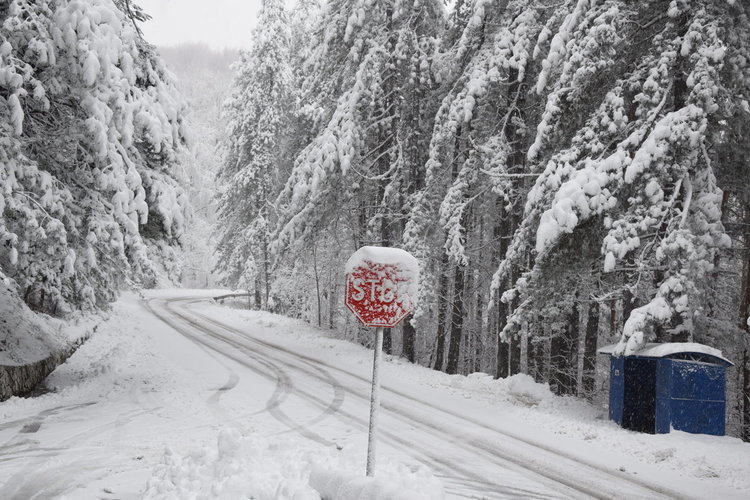 РИОСВ-Хасково обяви фотоконкурс "Аз снимам природата"