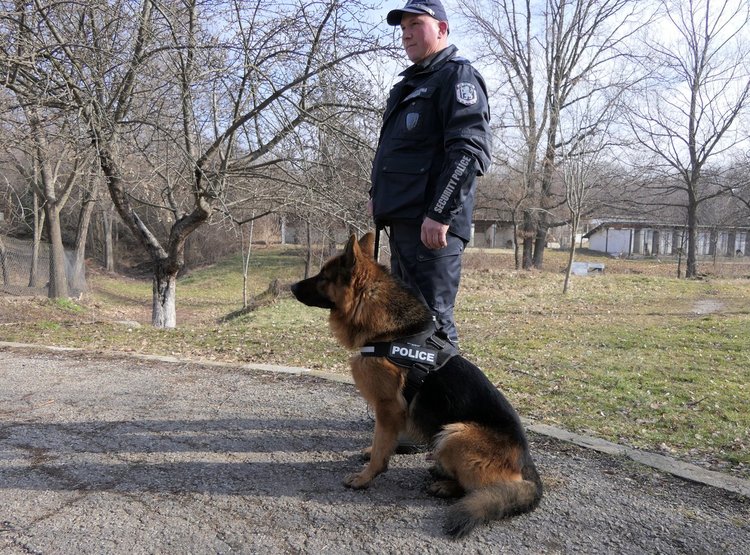 20 кучета влизат в звената на зоополицията