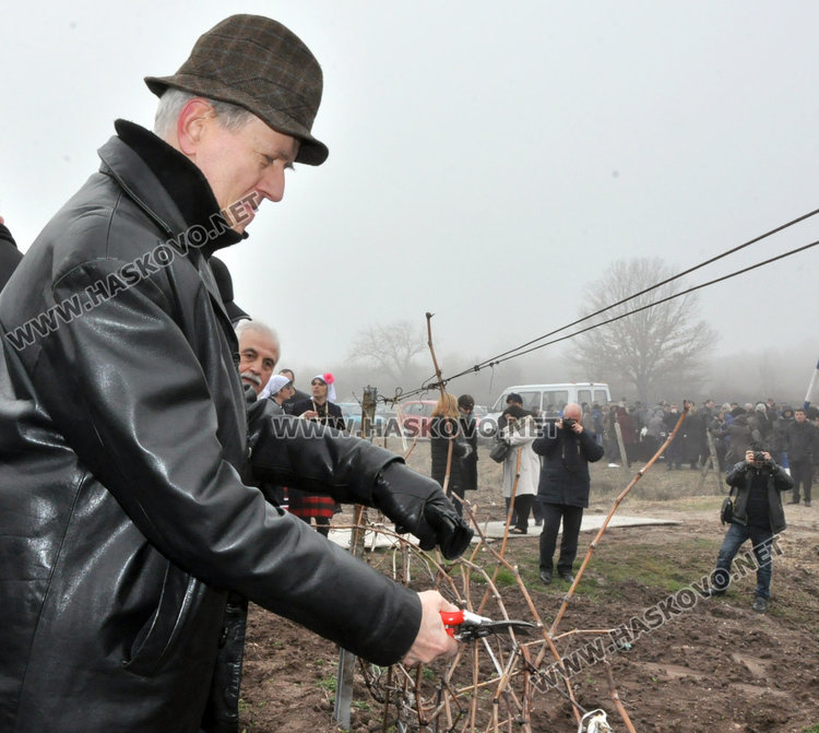 Посланици, дипломати и бизнесмени зарязаха лозята край Баните