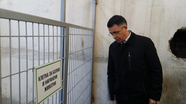 Кметът с изненадваща проверка в приюта за кучета „Дай лапа”, предприема спешни мерки