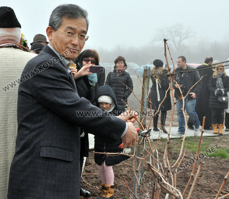 Посланици, дипломати и бизнесмени зарязаха лозята край Баните