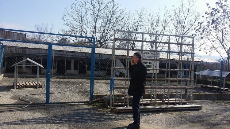 Кметът с изненадваща проверка в приюта за кучета „Дай лапа”, предприема спешни мерки