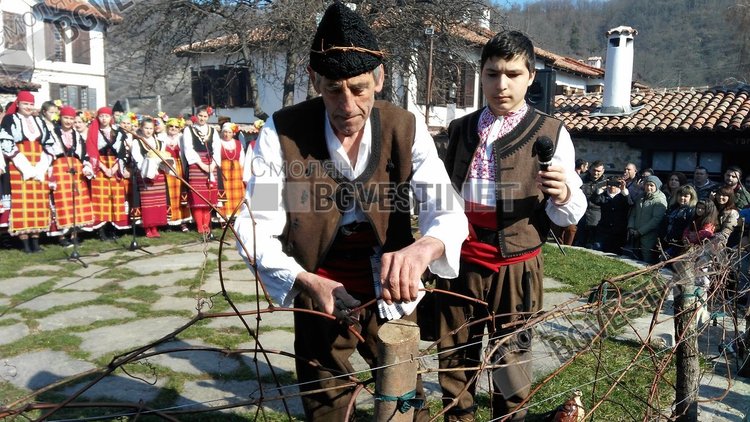 Символично зарязване на лозя е част от основния ритуал на празника
