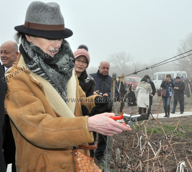 Посланици, дипломати и бизнесмени зарязаха лозята край Баните