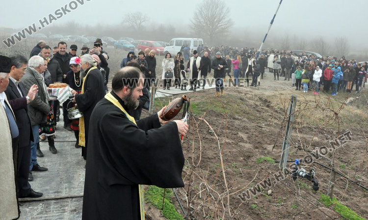 Посланици, дипломати и бизнесмени зарязаха лозята край Баните