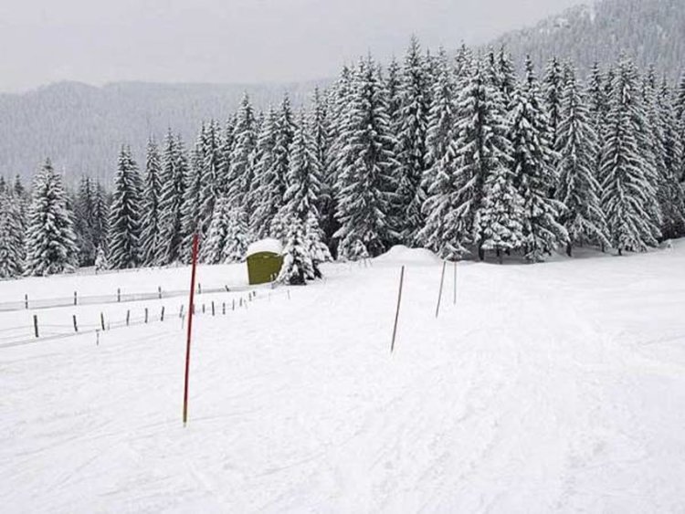Вадиха закъсали в преспи коли в местностите „Смолянски езера“ и „Перелик“