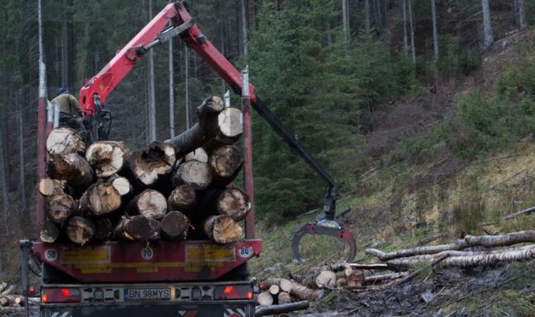 Снимката е илюстративна, източник: интернет