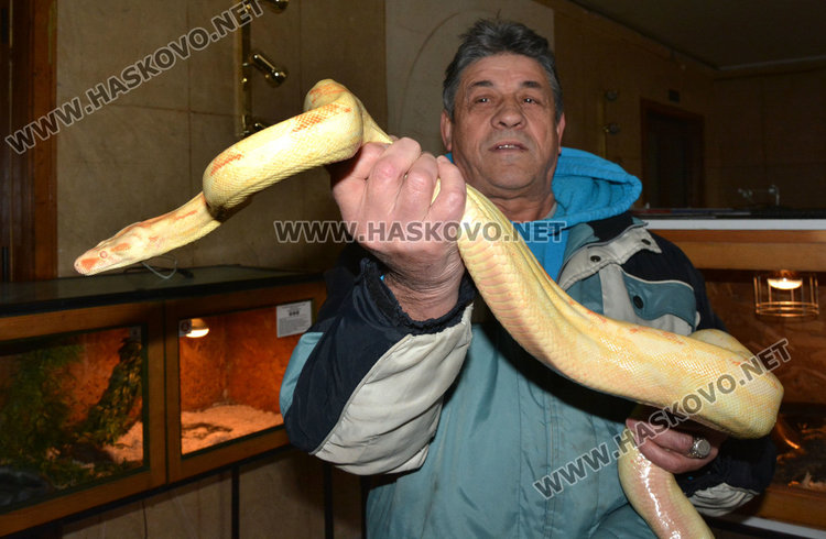 Показват в Хасково за първи път най-голямата отровна змия на Земята