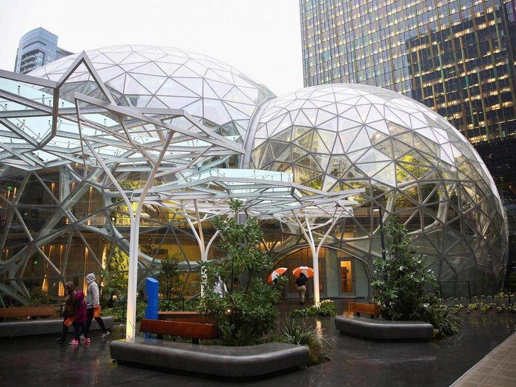 Защо офисите заприличват на джунгли