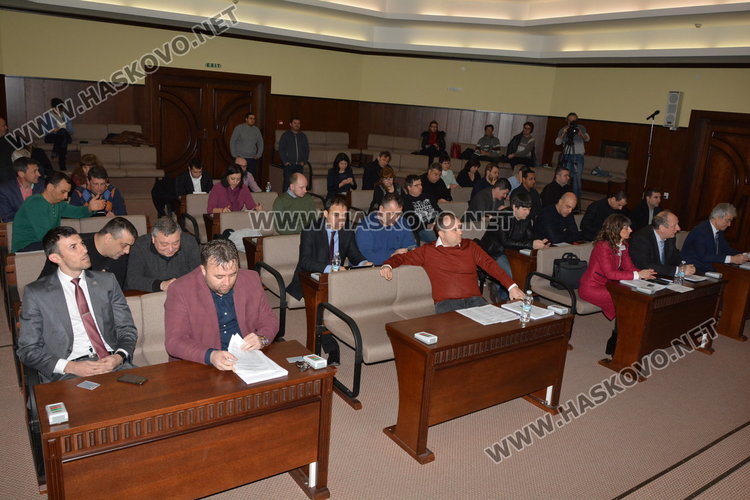 Съветници: Глутници превзеха Хасково! Кмете, вземи мерки веднага!