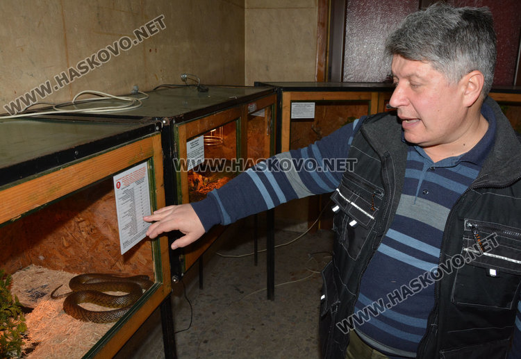 Показват в Хасково за първи път най-голямата отровна змия на Земята