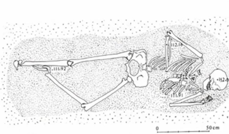  Гигантският череп от остров Тумски, за който учените нямат обяснение