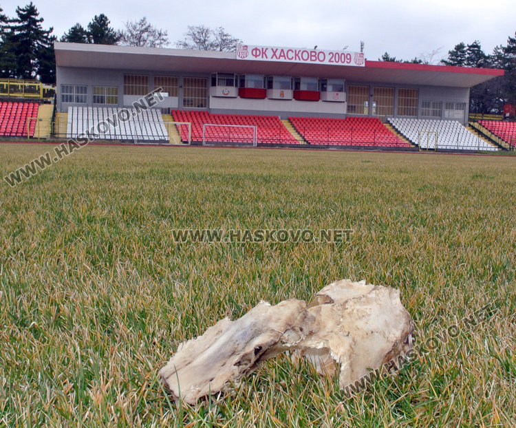 Ремонтираният стадион „Хасково” миниран с кучешки изпражнения и дупки