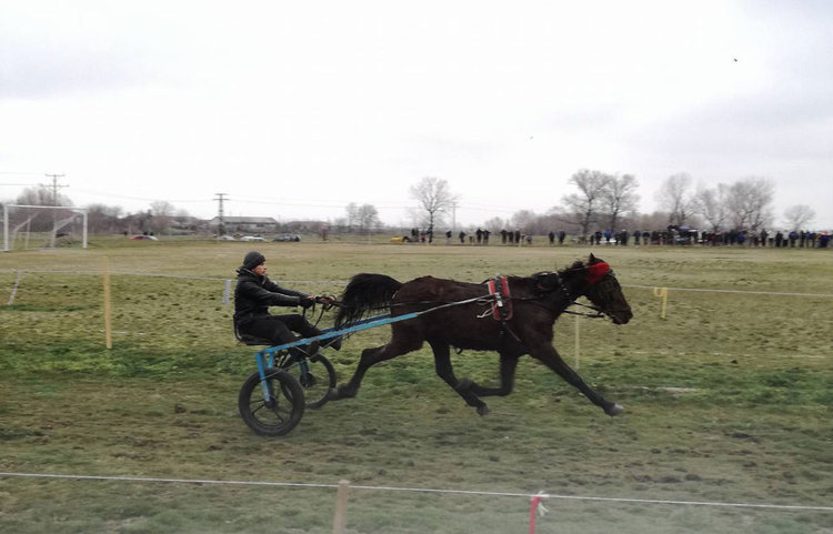 Стефан Янков е победителят на Конския Великден