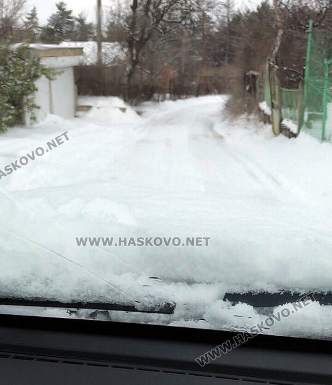 Читатели: Кенана е непроходим, опесъчете