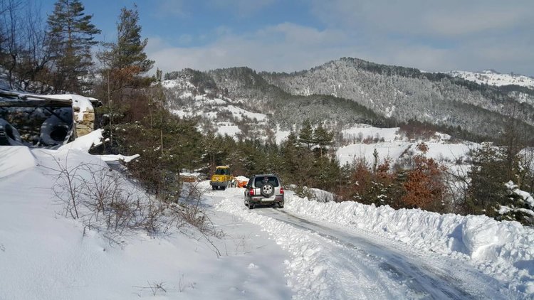 Възстановиха захранването в четирите села в Община Неделино, които нямаха ток заради снега