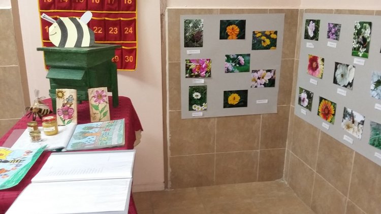 92-годишен пчелар оцени знанията на ученици за пчелите и меда