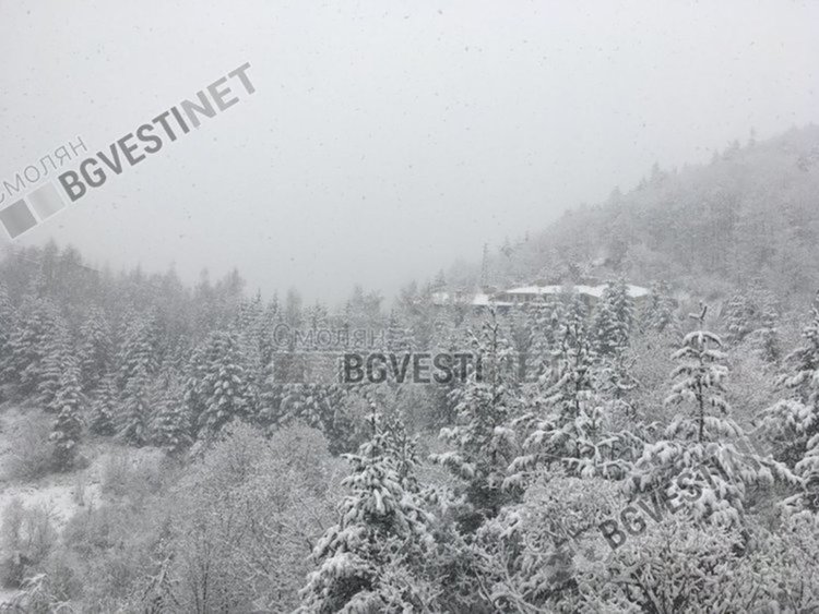 Лавина падна край манастира ”Св. Панталеймон” в Родопите