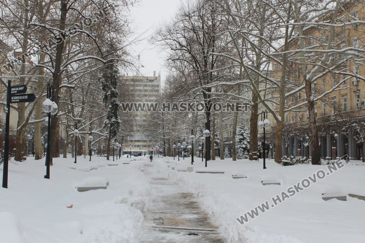 Бул."България"