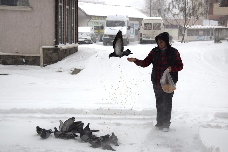 Елфиде Якуб обича да храни гълъбите пред Клуба на пенсионера в Ардино