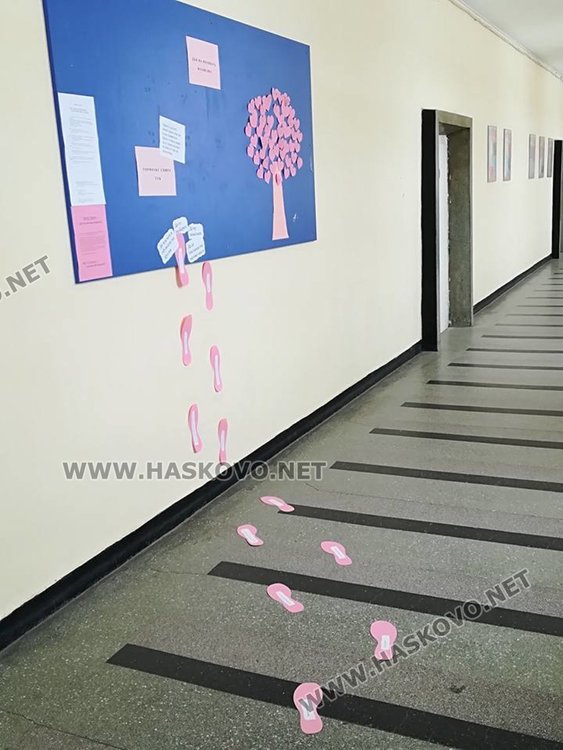 Код в розово: Хасково каза Не! на тормоза в училище 