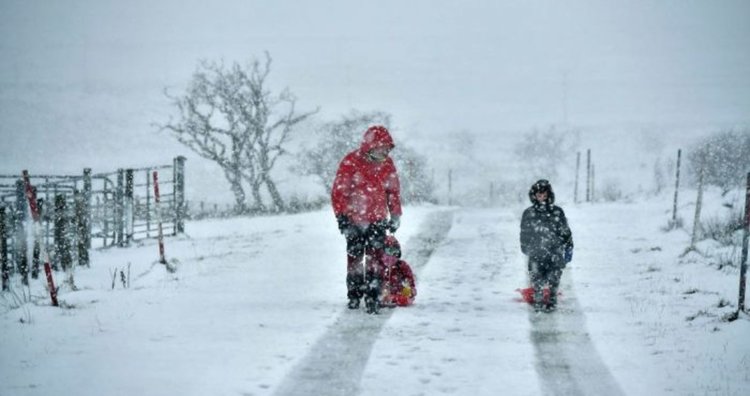 Студената вълна в Европа сее смърт