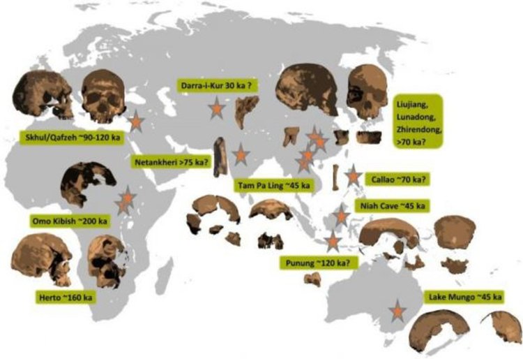 Говорът се е появил преди 1,8 млн. години?