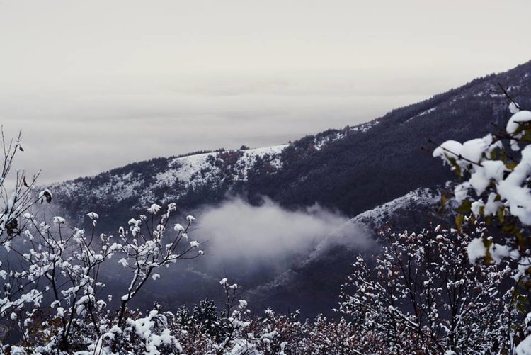 Дъждовно и мъгливо, температурите над нулата