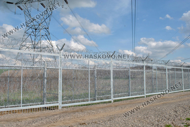  Разбиха нелегална мрежа за трафик на мигранти, минавала през България