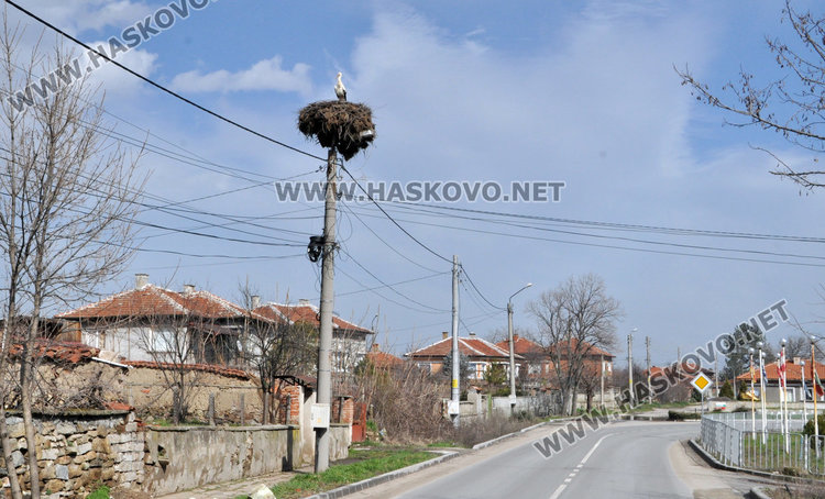 В Книжовник развързват мартениците, бял щъркел ги навести