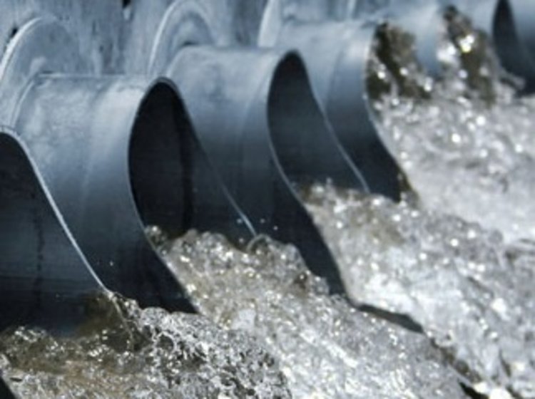 Постановления за близо 50 бона за еконарушения