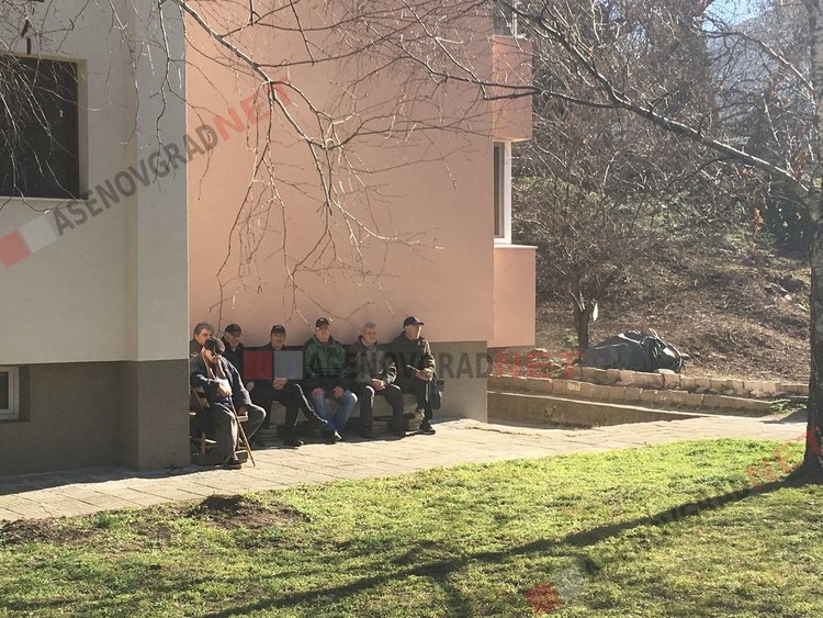 Кампания по залесяване в Асеновград: Общината предоставя безплатни фиданки