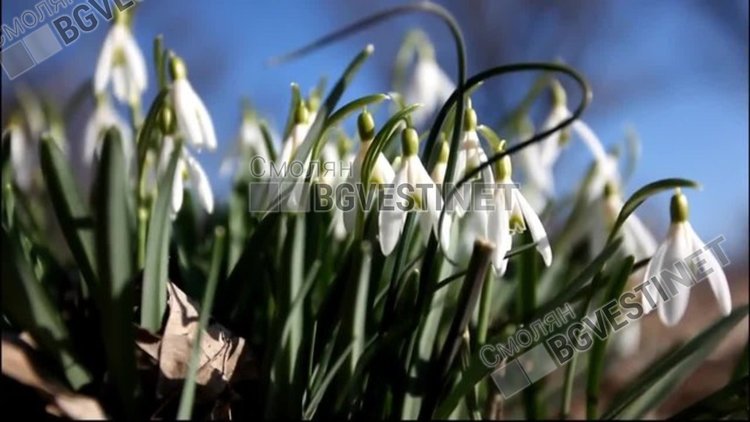Топла и безоблачна мартенска неделя