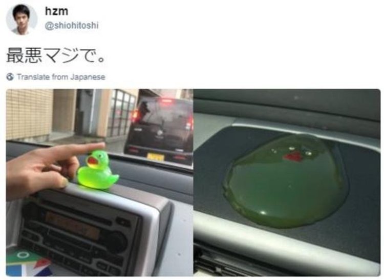 Страхотна снимка, но дали е истинска? Инструмент прави анализ